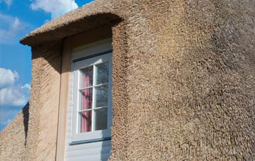 Vange thatch roof disadvantages